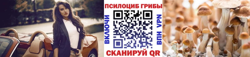 Псилоцибиновые грибы Psilocybe  Петушки 